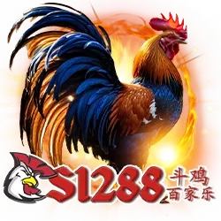 nice88-sanbong2
